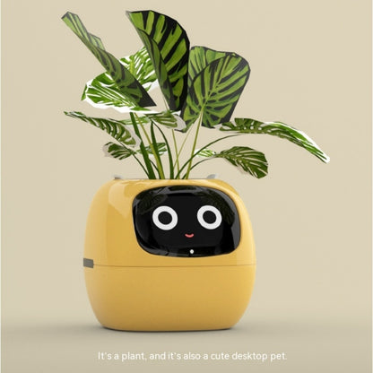 Smart Planter With Expressions, Smart Sensors, And AI