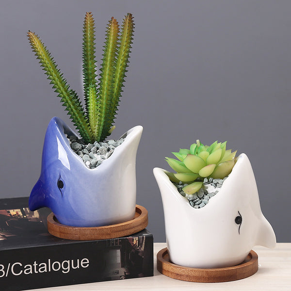 Shark Ceramic Succulent Planter – Fun Indoor Pot for Office and Home Decor