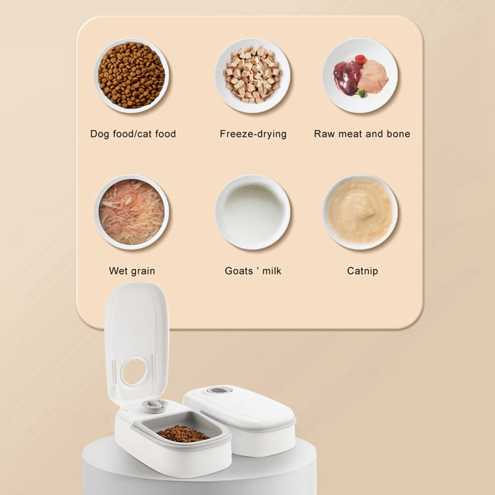 Automatic Pet Feeder Smart Food Dispenser For Cats Dogs Timer Stainless Steel Bowl Auto Dog Cat Pet Feeding Pets Supplies - Complete Home USA