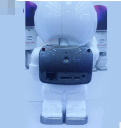 Astronaut Robot Camera IP Wifi Wireless P2P Security Surveillance Night Vision IR Home Security Robot Baby Monitor - Complete Home USA