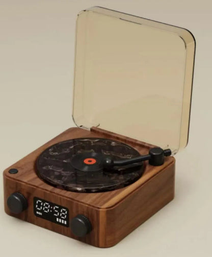 Turntable Waves Vinyl Speaker