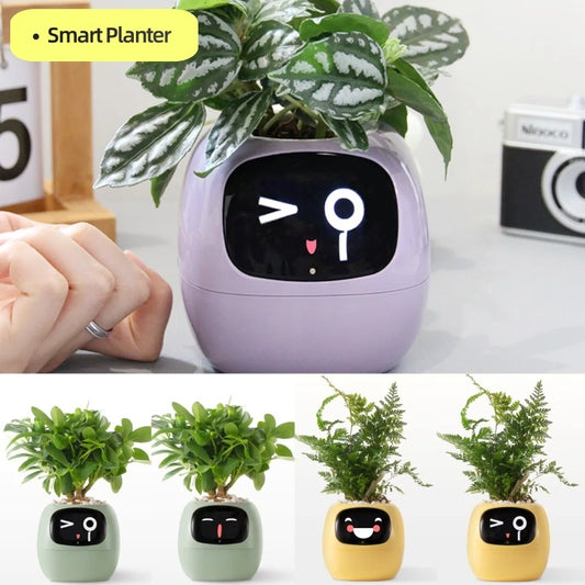 Smart Planter With Expressions, Smart Sensors, And AI