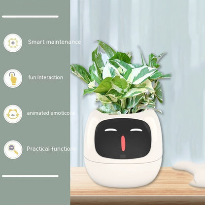 Smart Planter With Expressions, Smart Sensors, And AI