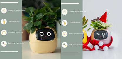 Smart Planter With Expressions, Smart Sensors, And AI