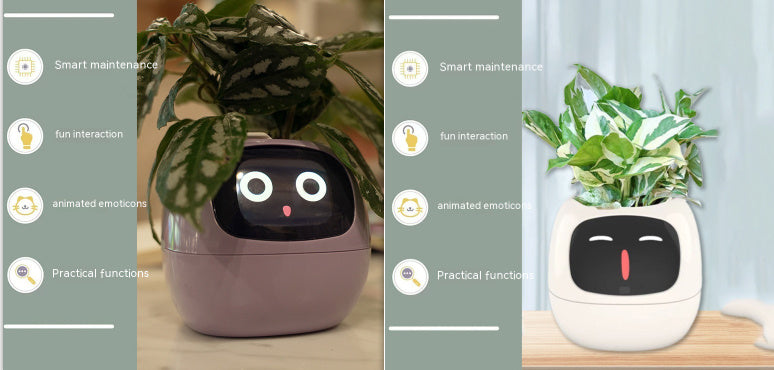 Smart Planter With Expressions, Smart Sensors, And AI